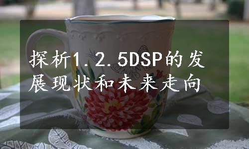 探析1.2.5DSP的发展现状和未来走向