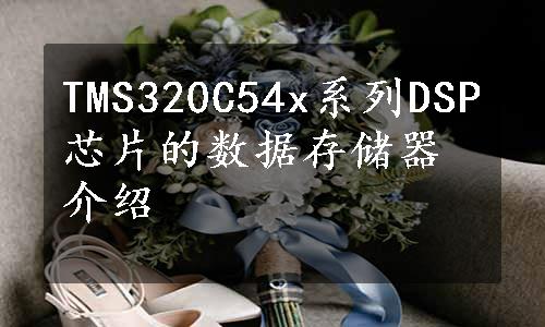 TMS320C54x系列DSP芯片的数据存储器介绍