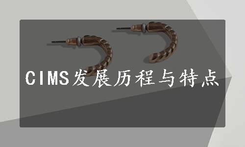 CIMS发展历程与特点