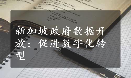 新加坡政府数据开放：促进数字化转型