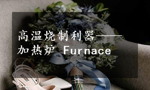 高温烧制利器——加热炉 Furnace