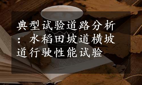 典型试验道路分析：水稻田坡道横坡道行驶性能试验