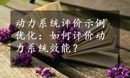 动力系统评价示例优化：如何评价动力系统效能？