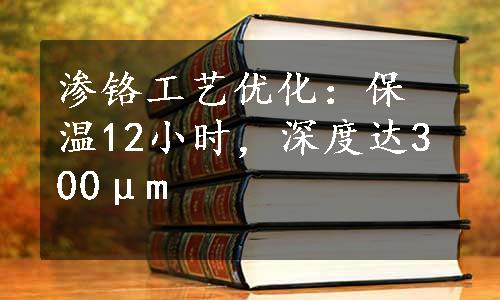 渗铬工艺优化：保温12小时，深度达300μm