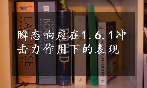 瞬态响应在1.6.1冲击力作用下的表现