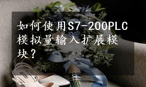 如何使用S7-200PLC模拟量输入扩展模块？