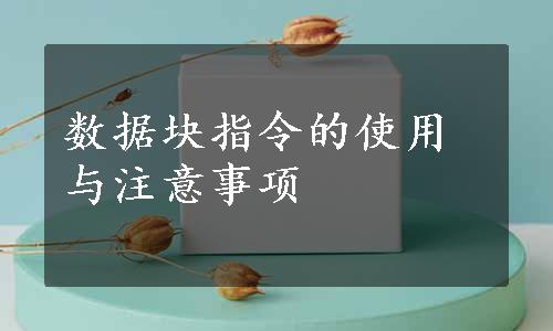 数据块指令的使用与注意事项