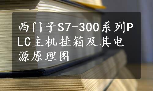 西门子S7-300系列PLC主机挂箱及其电源原理图