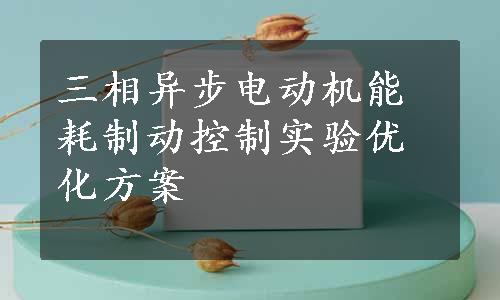 三相异步电动机能耗制动控制实验优化方案