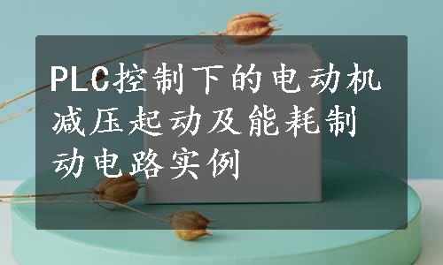 PLC控制下的电动机减压起动及能耗制动电路实例