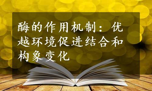 酶的作用机制：优越环境促进结合和构象变化