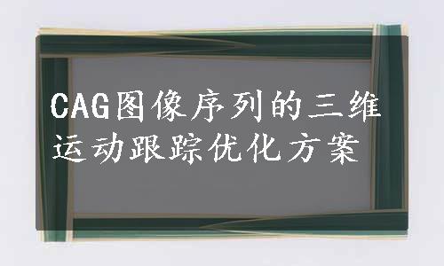 CAG图像序列的三维运动跟踪优化方案