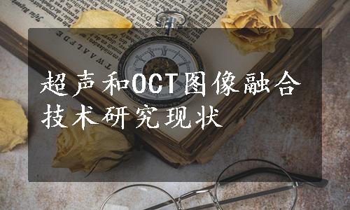 超声和OCT图像融合技术研究现状