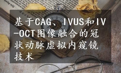 基于CAG、IVUS和IV-OCT图像融合的冠状动脉虚拟内窥镜技术