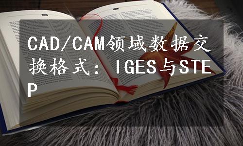 CAD/CAM领域数据交换格式：IGES与STEP