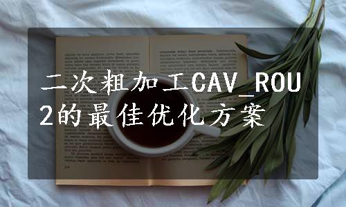 二次粗加工CAV_ROU2的最佳优化方案