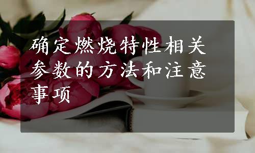 确定燃烧特性相关参数的方法和注意事项