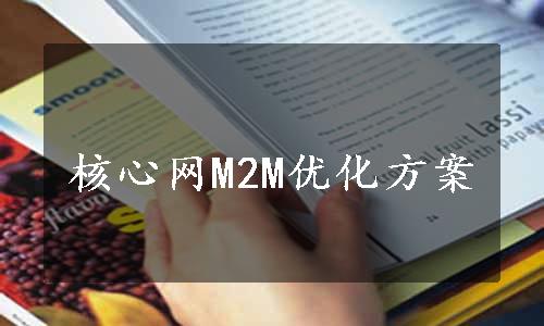 核心网M2M优化方案