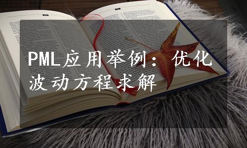 PML应用举例：优化波动方程求解