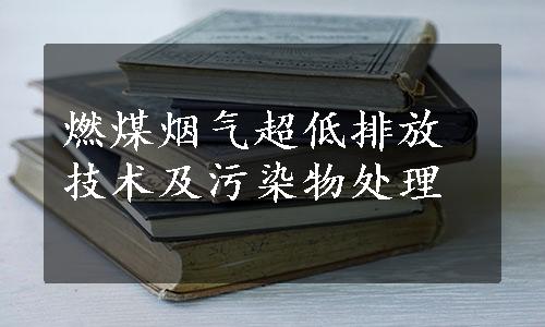 燃煤烟气超低排放技术及污染物处理