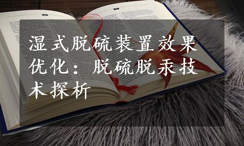 湿式脱硫装置效果优化：脱硫脱汞技术探析