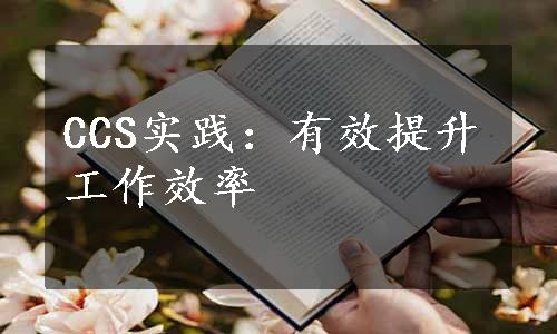 CCS实践：有效提升工作效率