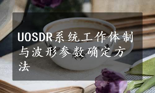 UOSDR系统工作体制与波形参数确定方法