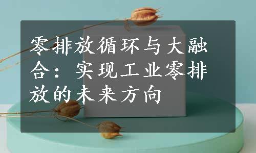 零排放循环与大融合：实现工业零排放的未来方向