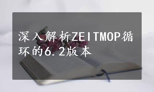 深入解析ZEITMOP循环的6.2版本