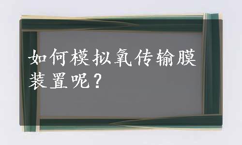 如何模拟氧传输膜装置呢？