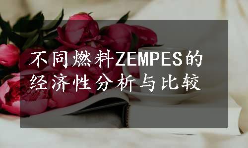 不同燃料ZEMPES的经济性分析与比较