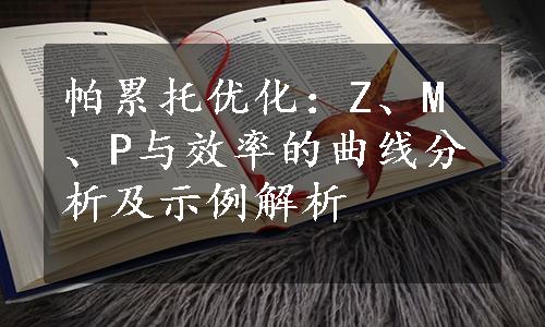 帕累托优化：Z、M、P与效率的曲线分析及示例解析