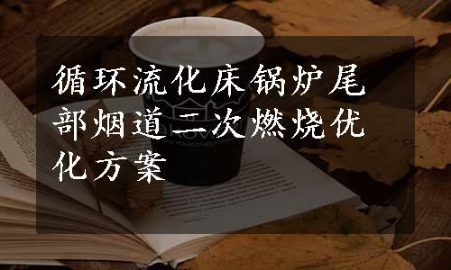 循环流化床锅炉尾部烟道二次燃烧优化方案