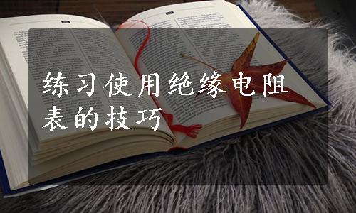 练习使用绝缘电阻表的技巧