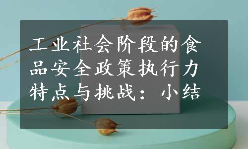 工业社会阶段的食品安全政策执行力特点与挑战：小结