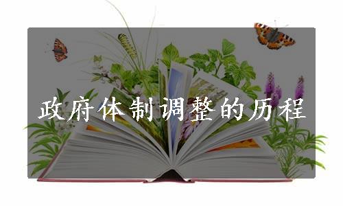 政府体制调整的历程