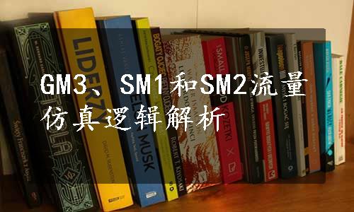 GM3、SM1和SM2流量仿真逻辑解析