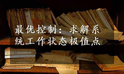 最优控制：求解系统工作状态极值点