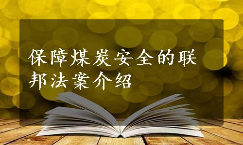 保障煤炭安全的联邦法案介绍