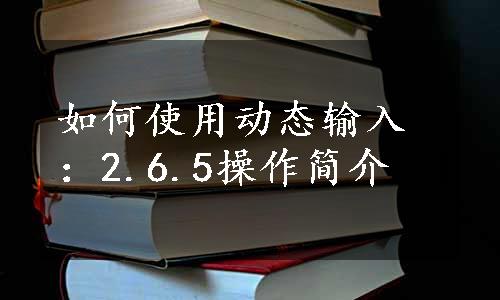 如何使用动态输入：2.6.5操作简介