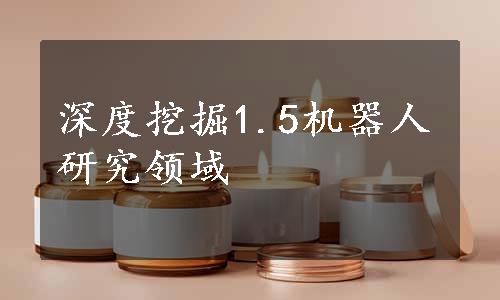 深度挖掘1.5机器人研究领域