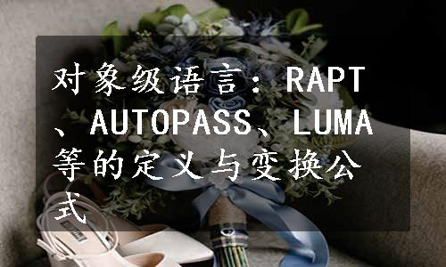 对象级语言：RAPT、AUTOPASS、LUMA等的定义与变换公式