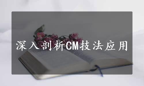 深入剖析CM技法应用