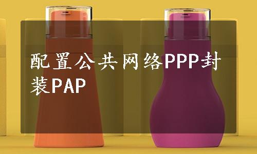 配置公共网络PPP封装PAP