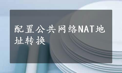 配置公共网络NAT地址转换