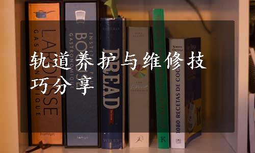 轨道养护与维修技巧分享