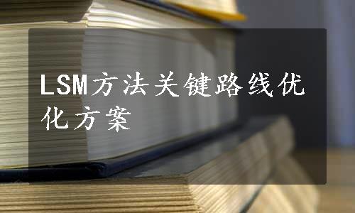 LSM方法关键路线优化方案