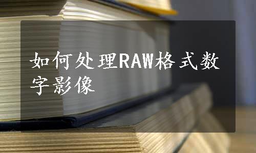 如何处理RAW格式数字影像