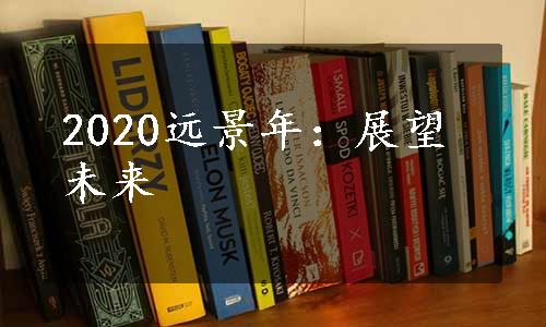 2020远景年：展望未来