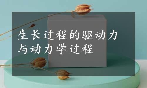 生长过程的驱动力与动力学过程